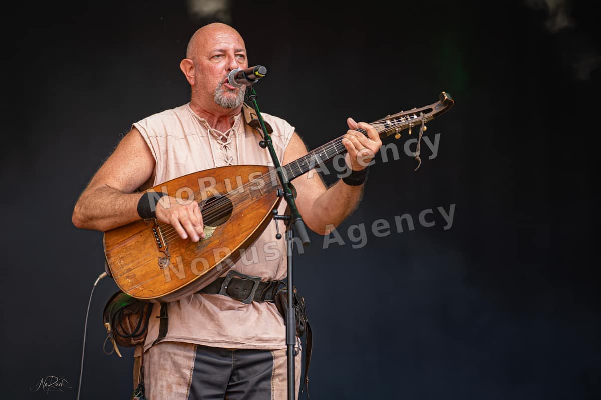 Die Streuner live in Merseburg, Foto 5 von Stephan Sieger