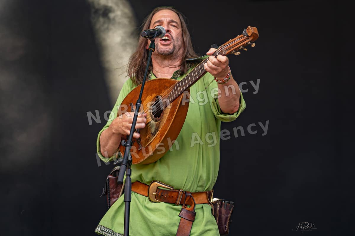 Die Streuner live in Merseburg, Foto 11 von Stephan Sieger