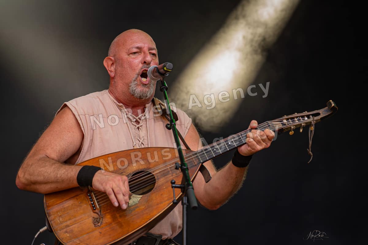 Die Streuner live in Merseburg, Foto 13 von Stephan Sieger
