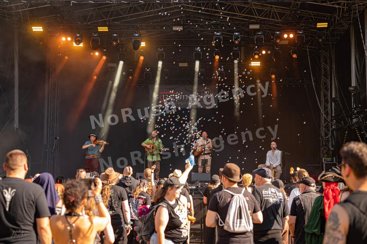 Die Streuner live in Merseburg, Foto 19 von Stephan Sieger