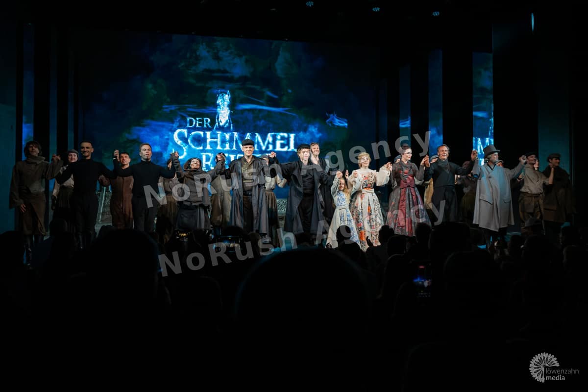 Der Schimmelreiter - Das Musical live in Fulda, Foto 12 von Jan Haller