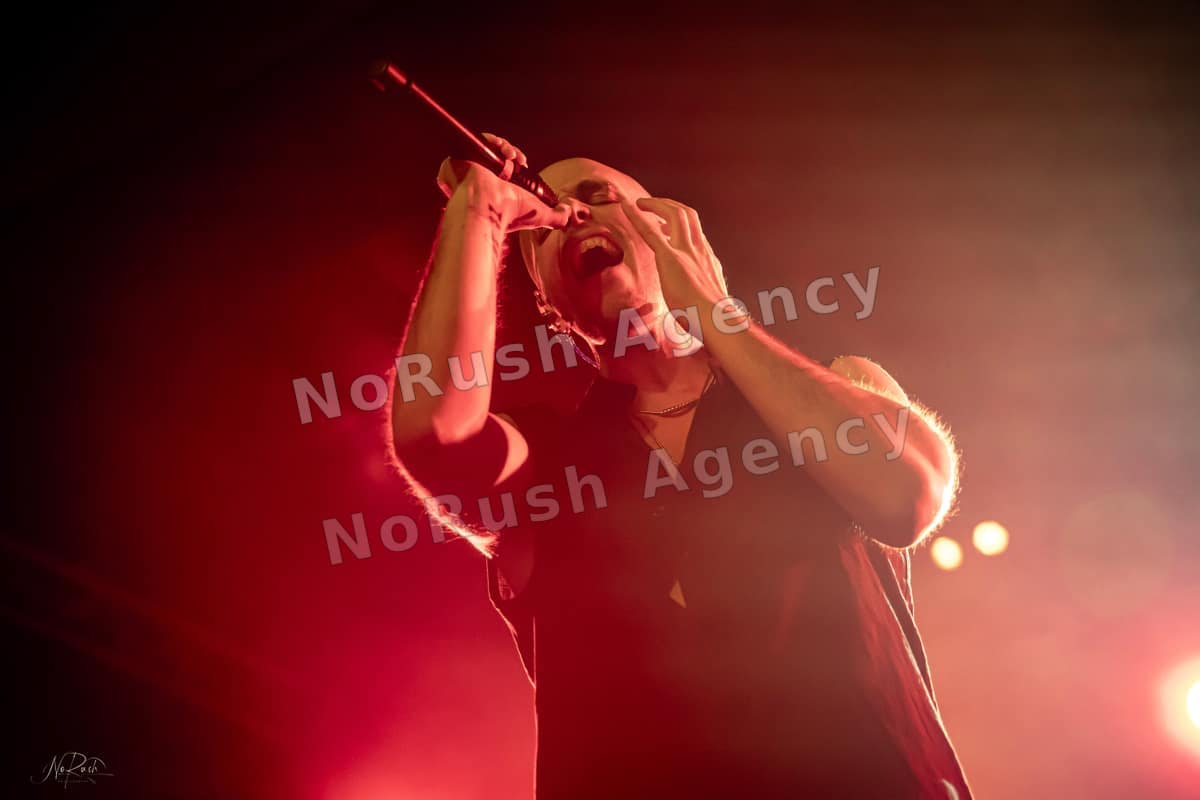 Induction live in Leipzig, Foto 25 von Stephan Sieger