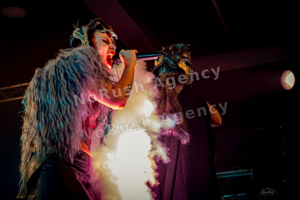 Warkings live in Leipzig, Foto 51 von Stephan Sieger