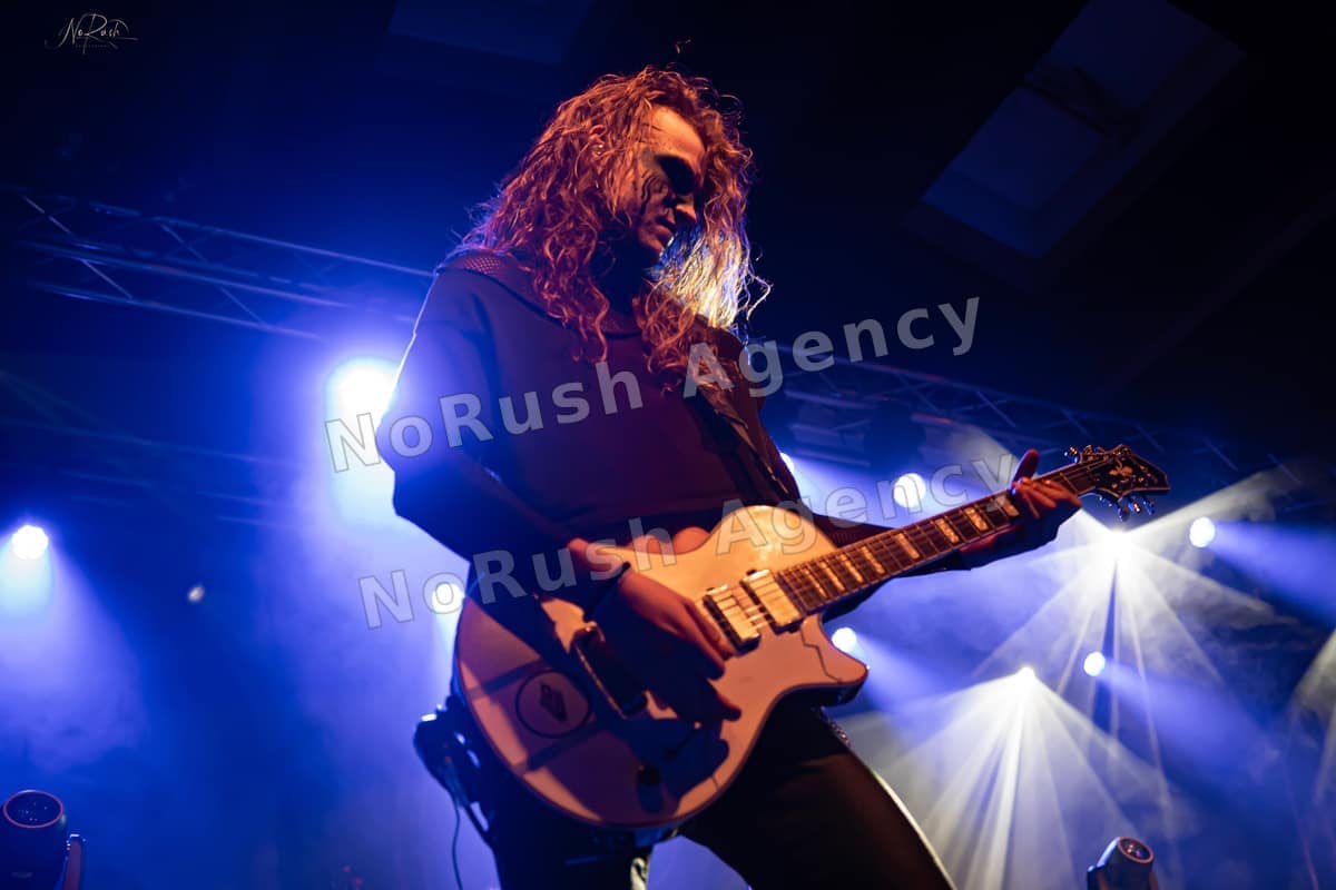 Wisborg live in Dresden, Foto 2 von Stephan Sieger