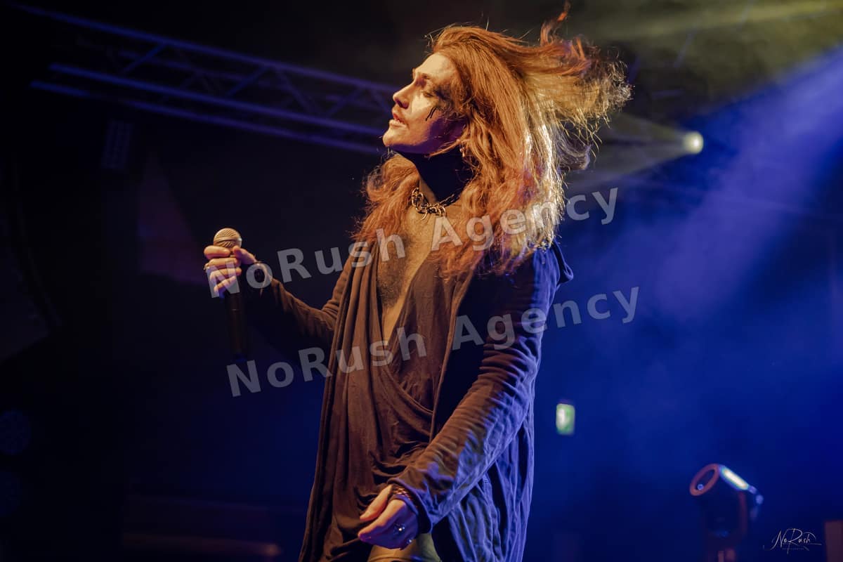 Wisborg live in Dresden, Foto 8 von Stephan Sieger