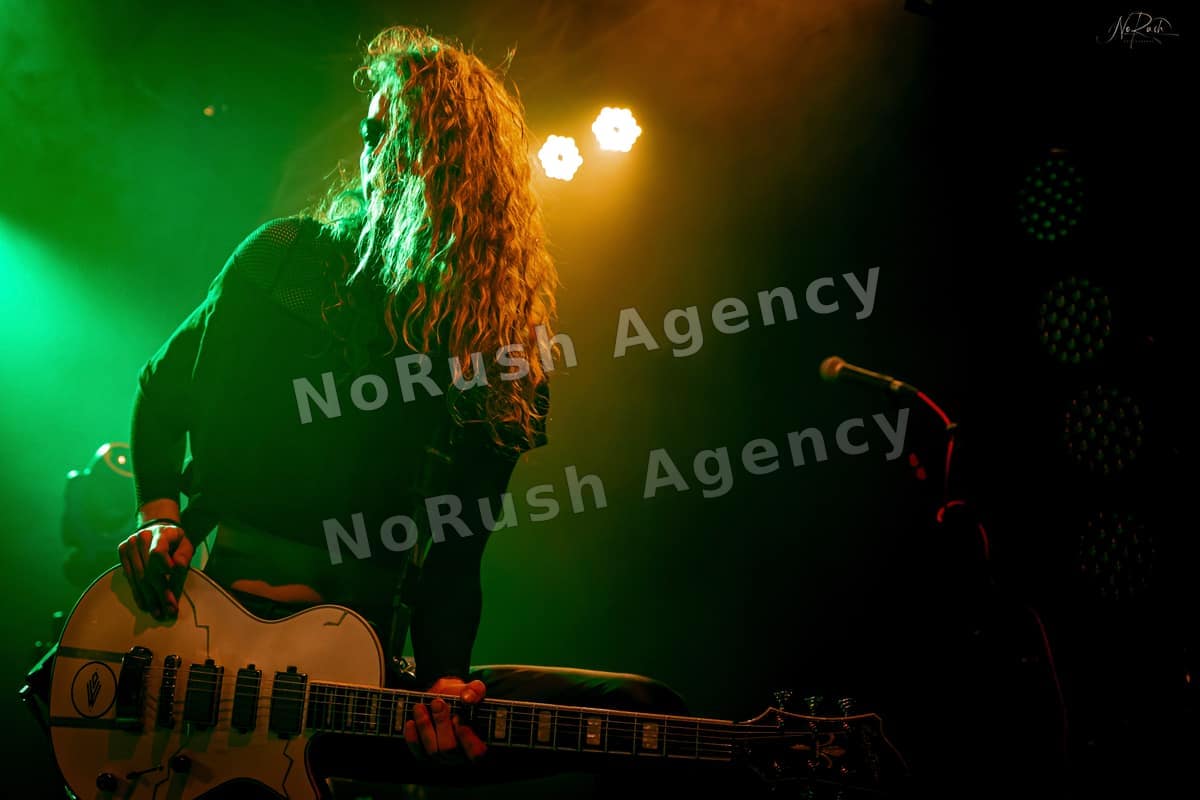 Wisborg live in Dresden, Foto 29 von Stephan Sieger