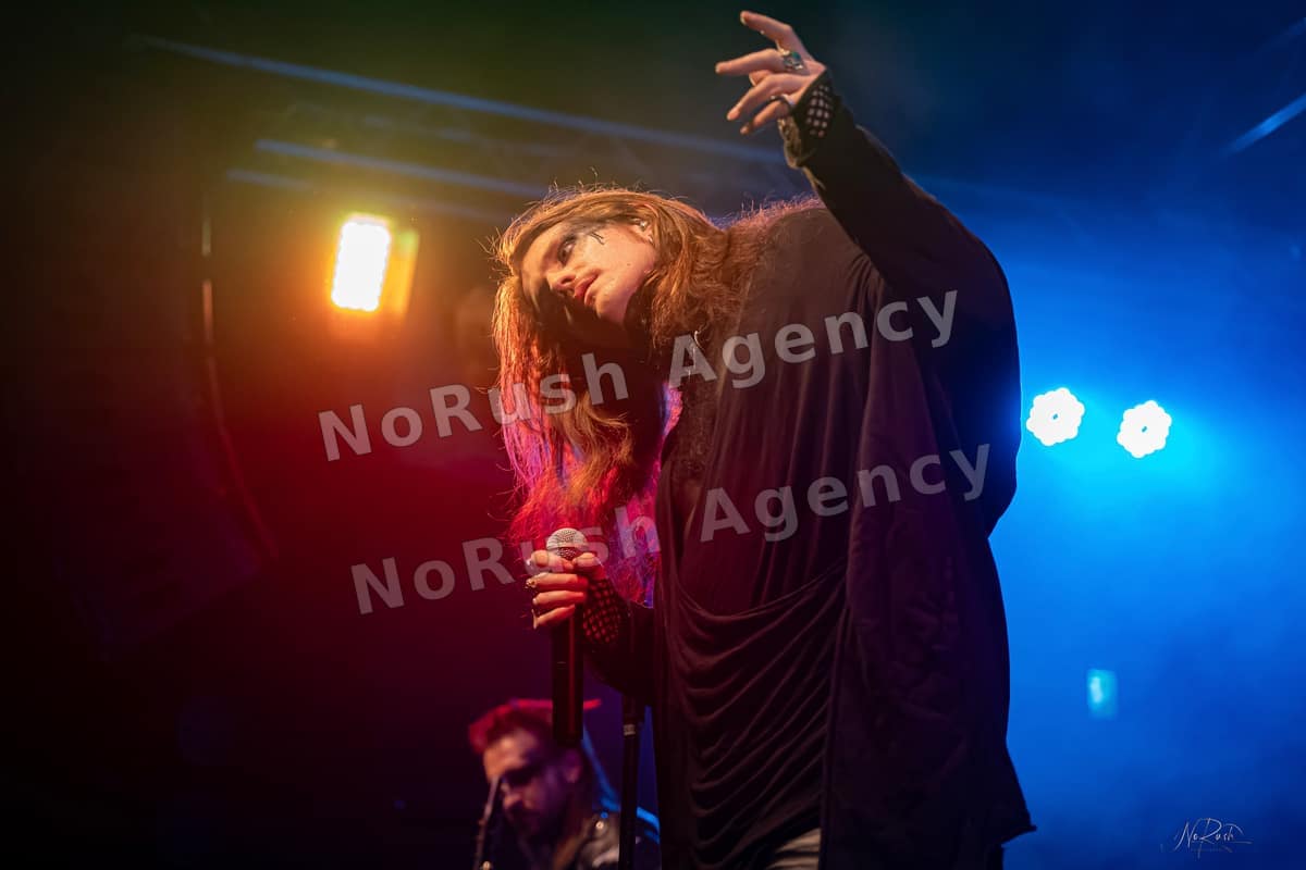 Wisborg live in Dresden, Foto 41 von Stephan Sieger