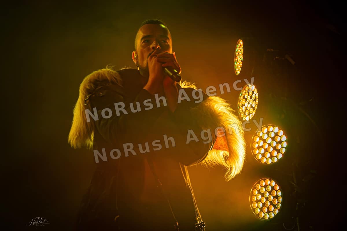 Manntra live in Dresden, Foto 31 von Stephan Sieger