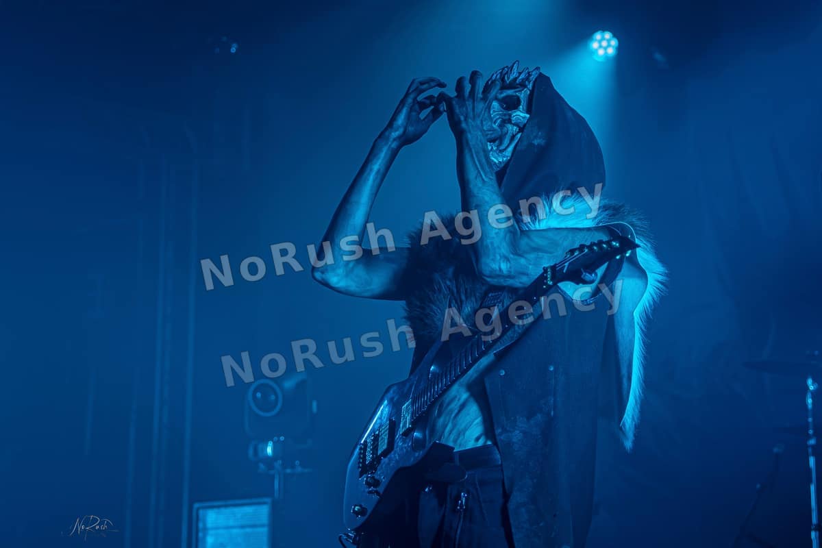 Manntra live in Dresden, Foto 48 von Stephan Sieger
