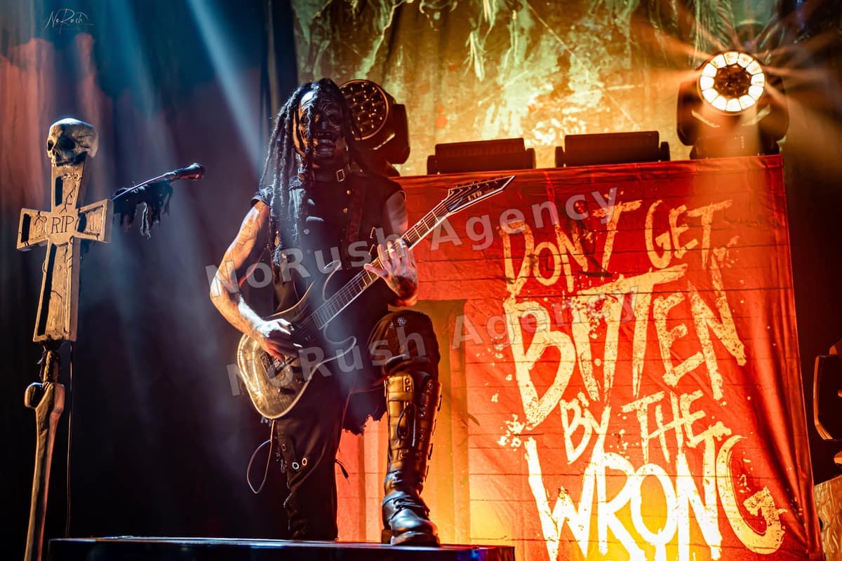 Dominum live in Leipzig, Foto 2 von Stephan Sieger