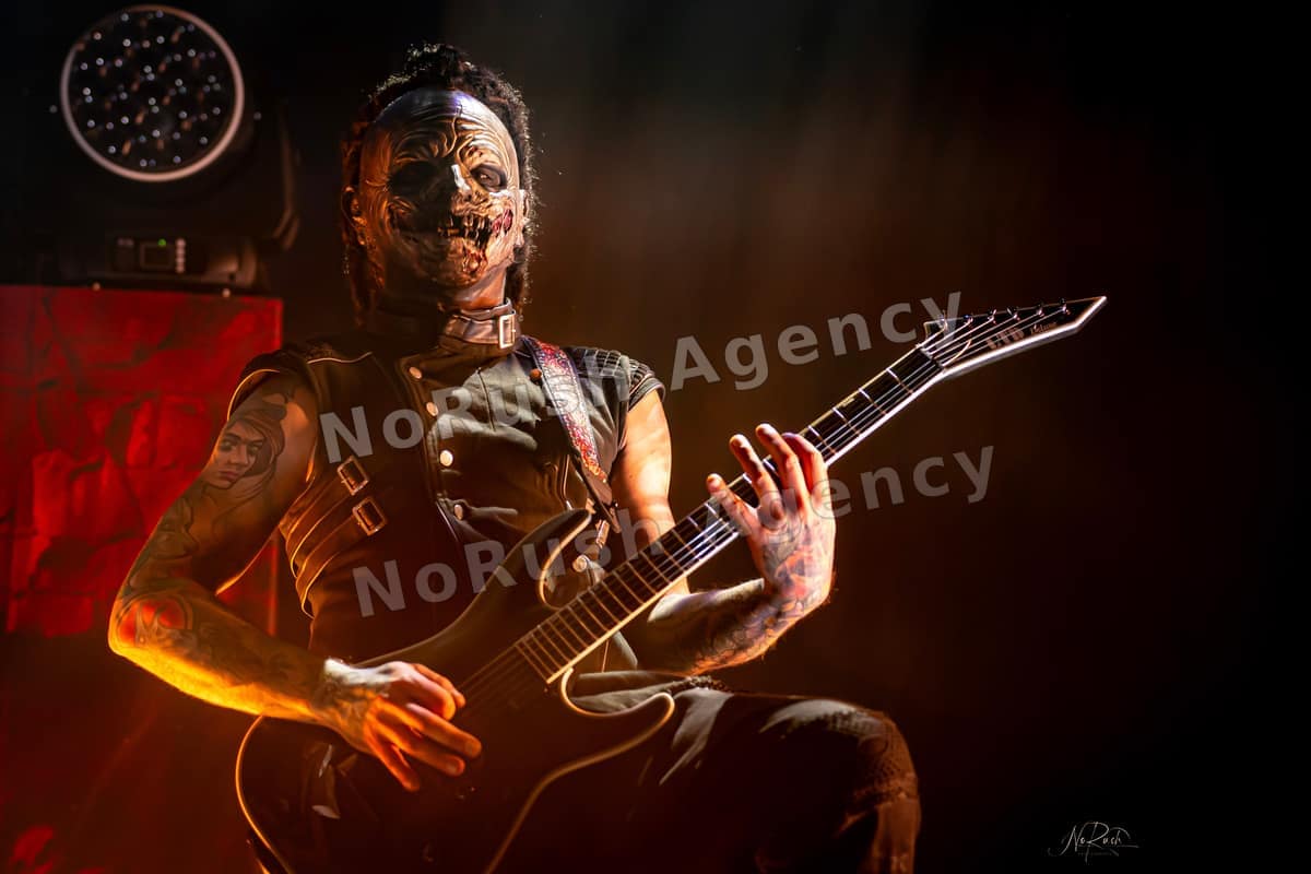Dominum live in Leipzig, Foto 9 von Stephan Sieger