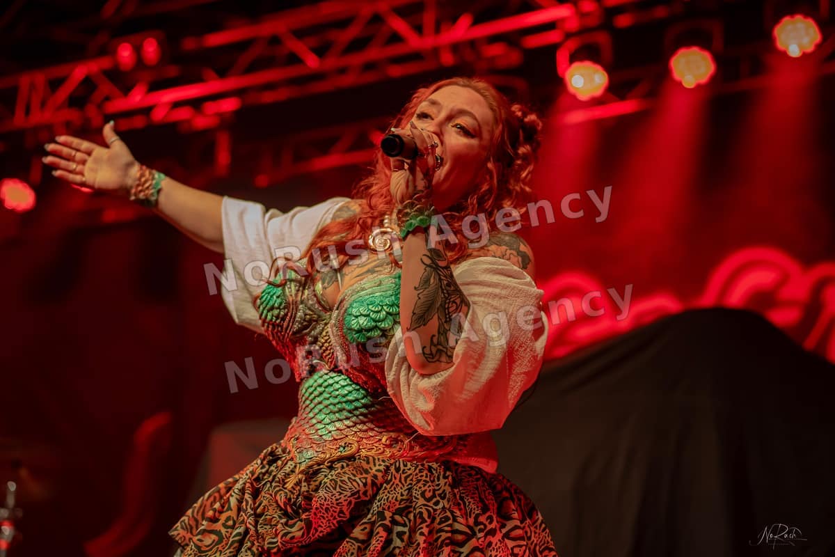 Kupfergold live in Dresden, Foto 12 von Stephan Sieger