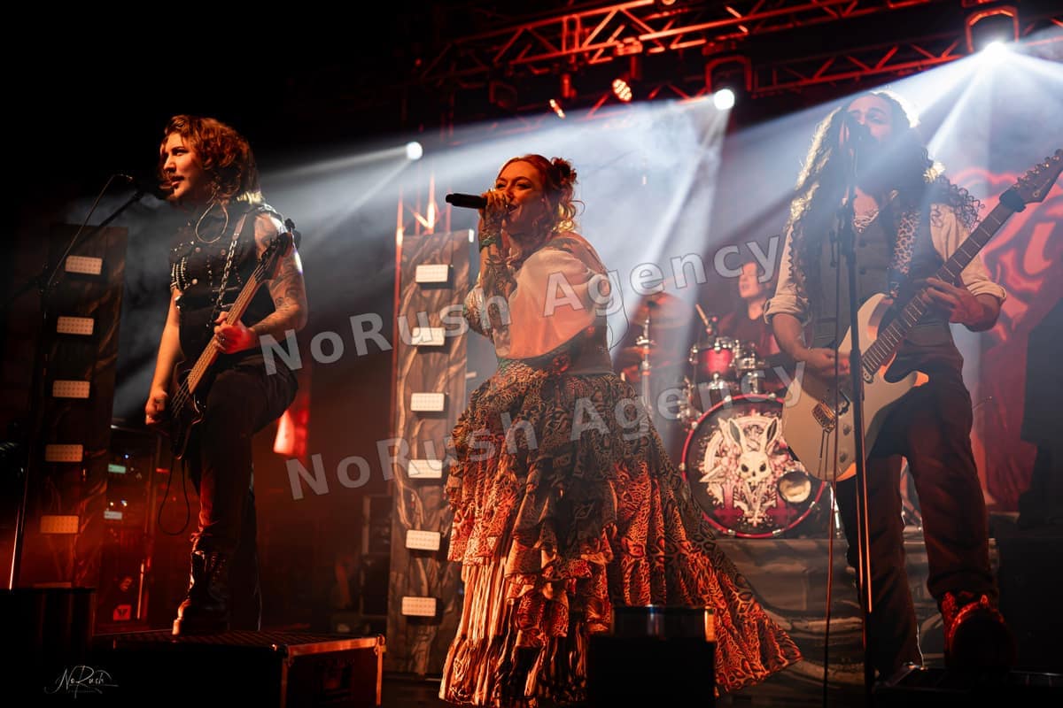 Kupfergold live in Dresden, Foto 33 von Stephan Sieger