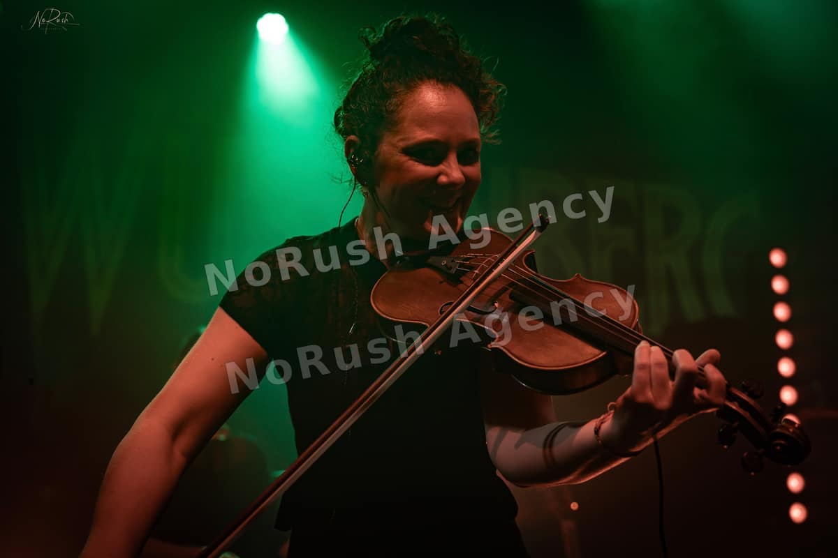 Wüstenberg live in Dresden, Foto 6 von Stephan Sieger
