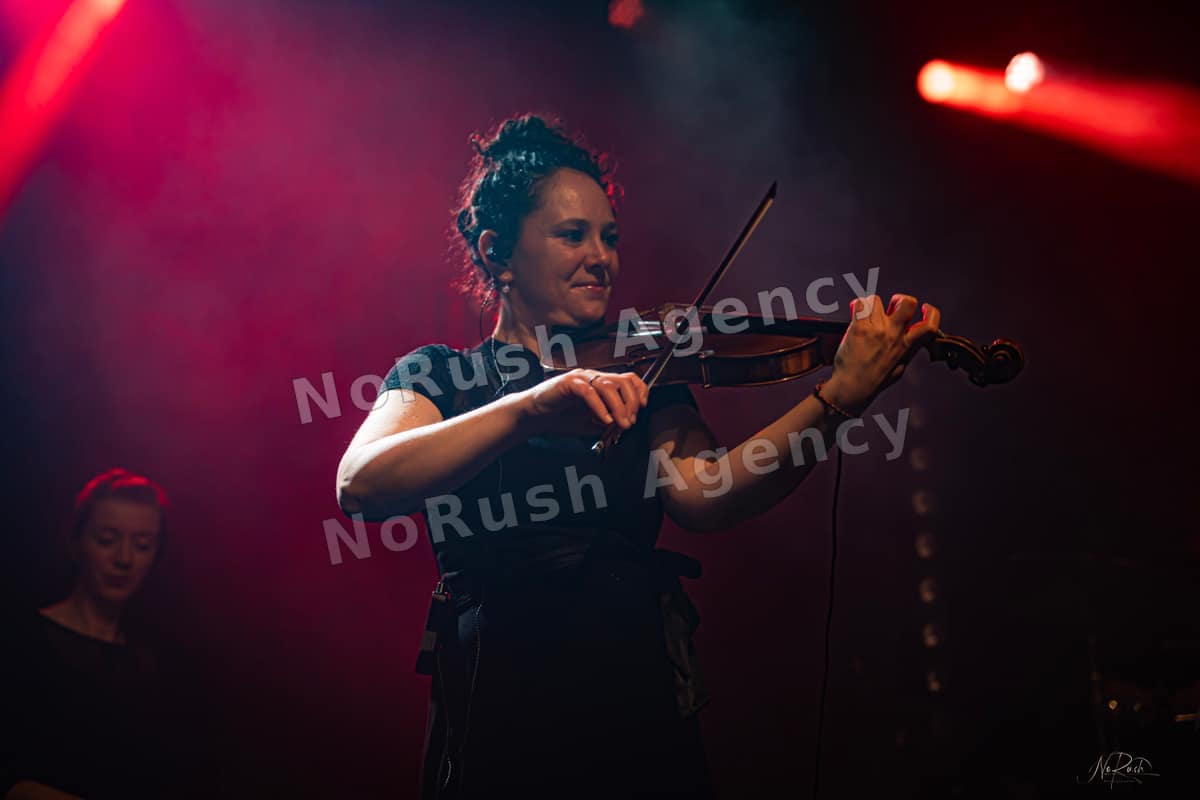 Wüstenberg live in Dresden, Foto 17 von Stephan Sieger