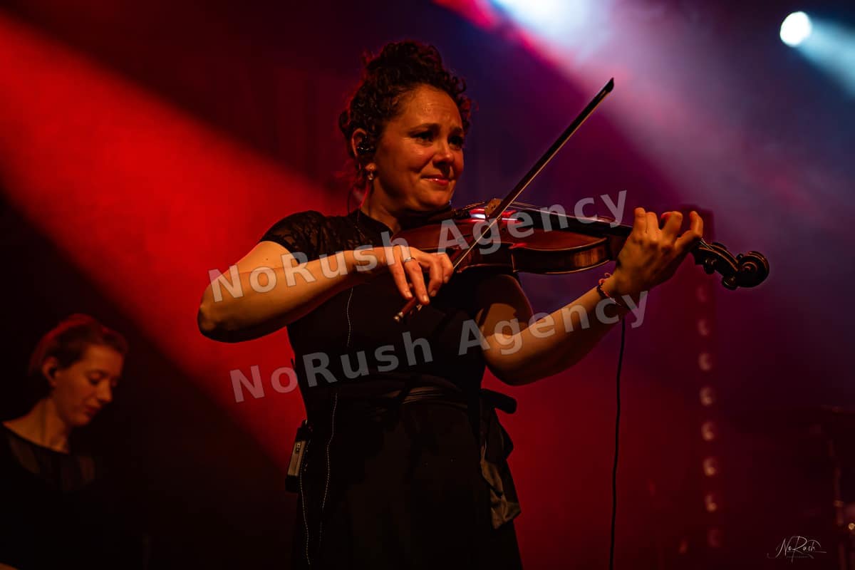 Wüstenberg live in Dresden, Foto 18 von Stephan Sieger