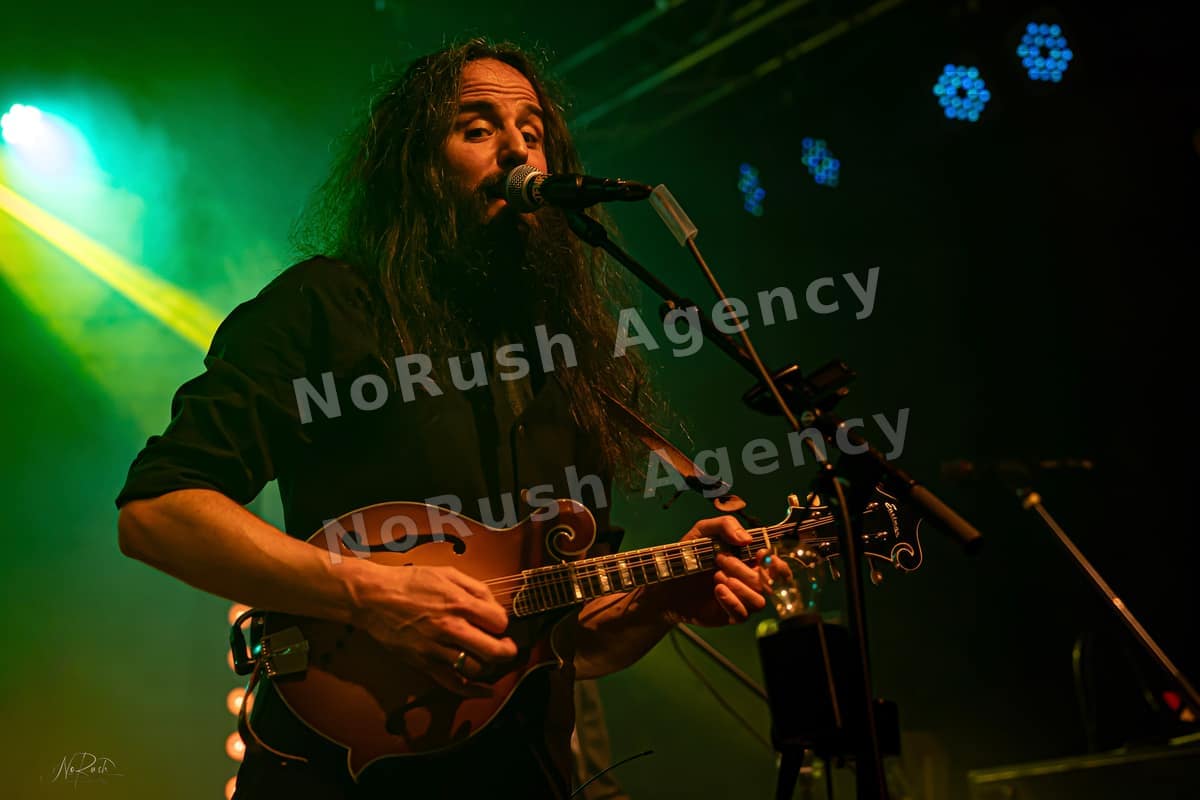 Wüstenberg live in Dresden, Foto 24 von Stephan Sieger