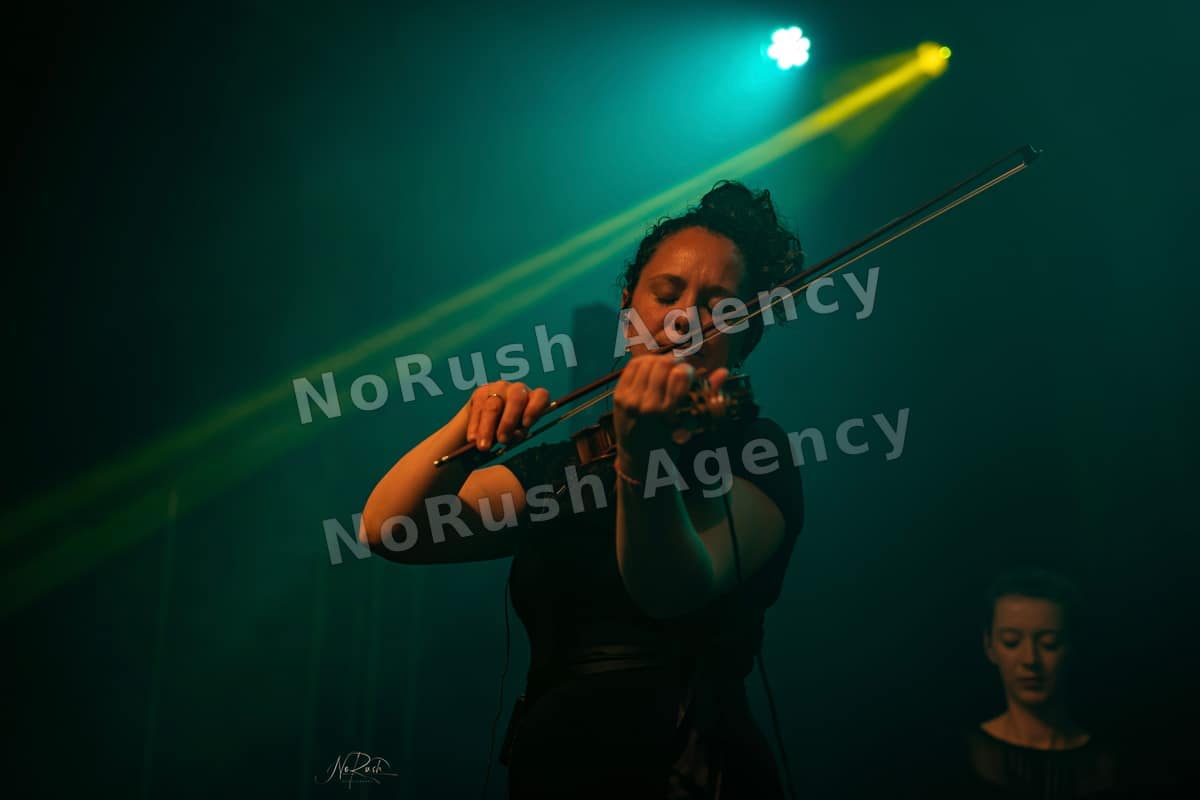 Wüstenberg live in Dresden, Foto 27 von Stephan Sieger
