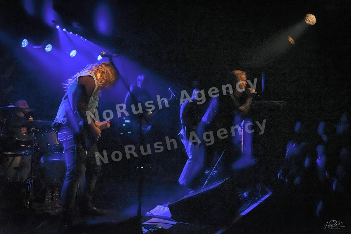 David Reece live in Leipzig, Foto 15 von Stephan Sieger