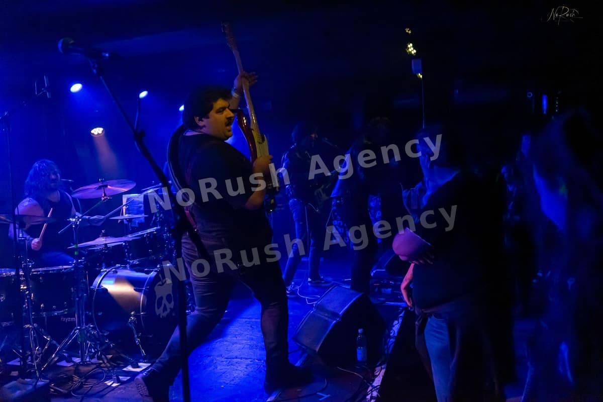 Formosa live in Dresden, Foto 10 von Stephan Sieger