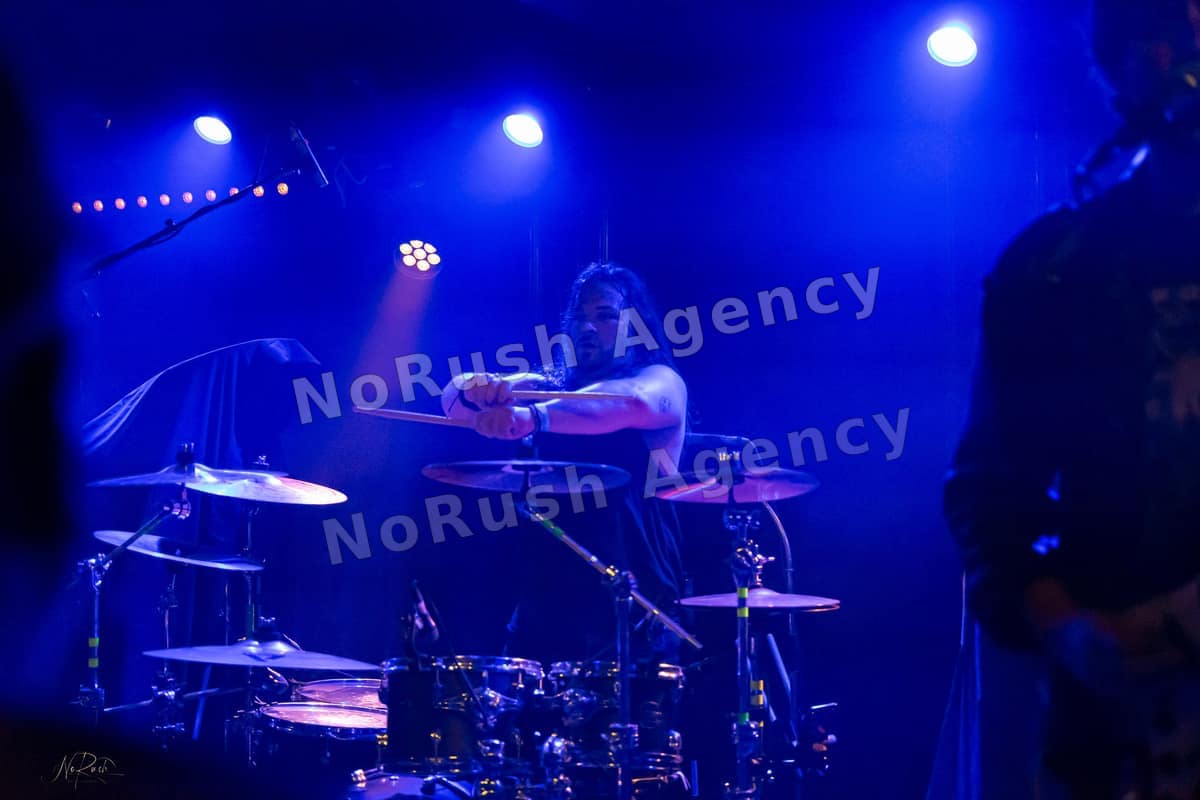 Formosa live in Dresden, Foto 12 von Stephan Sieger
