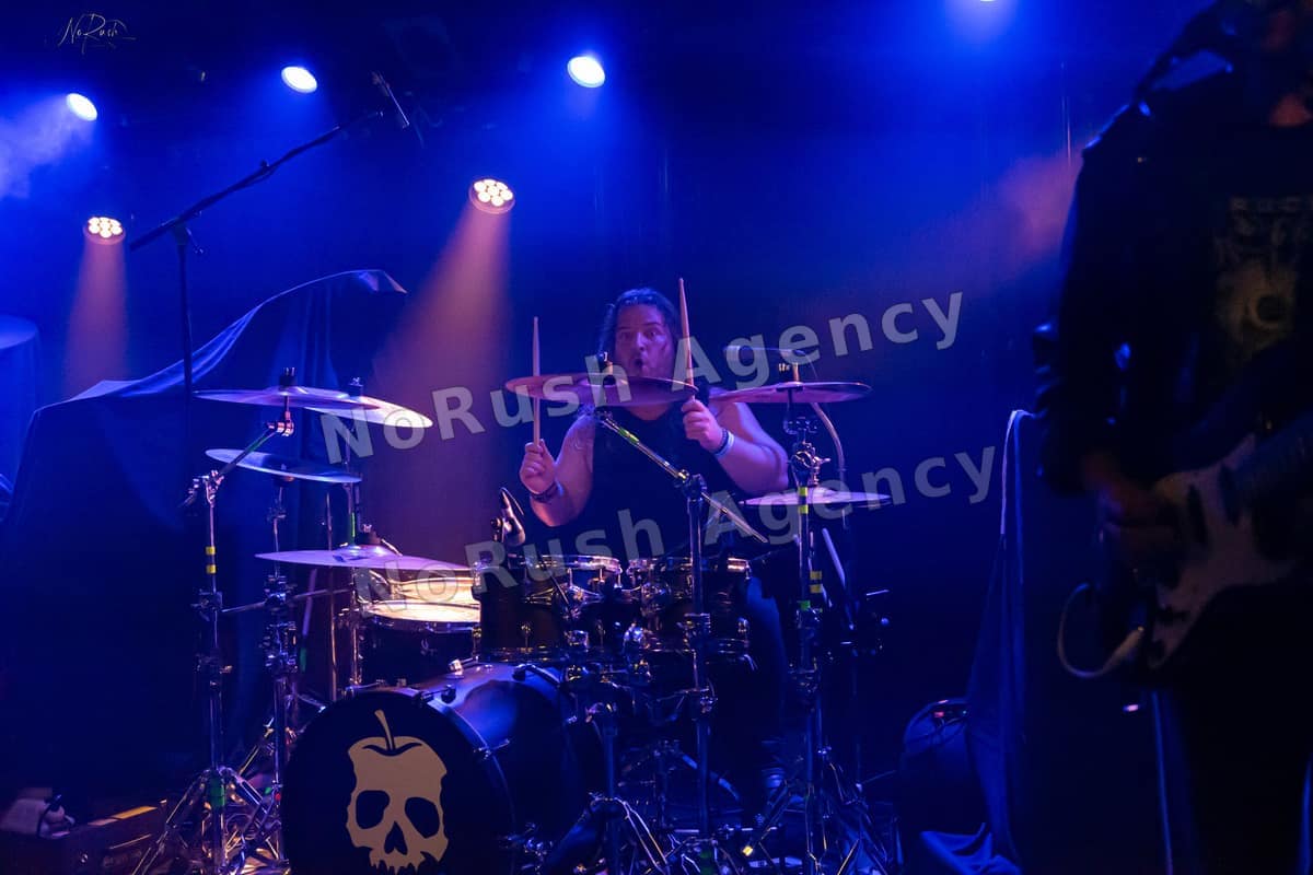 Formosa live in Dresden, Foto 13 von Stephan Sieger