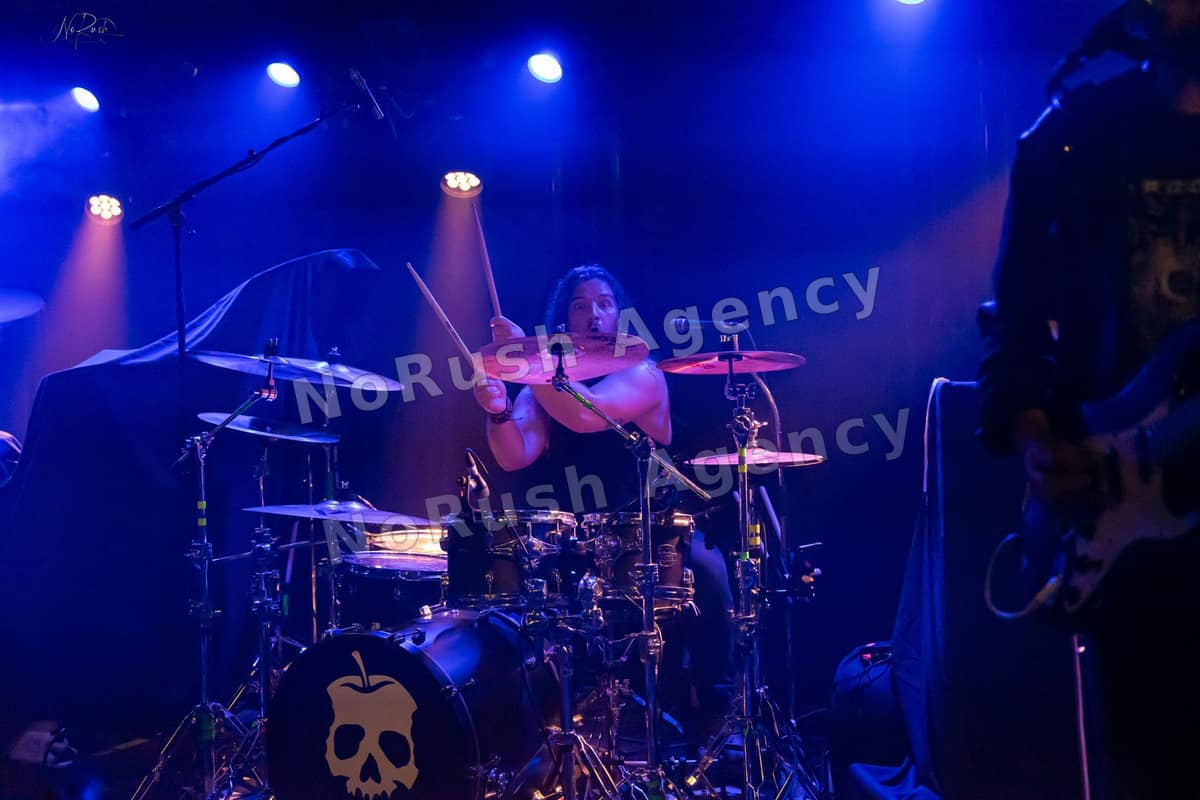 Formosa live in Dresden, Foto 14 von Stephan Sieger