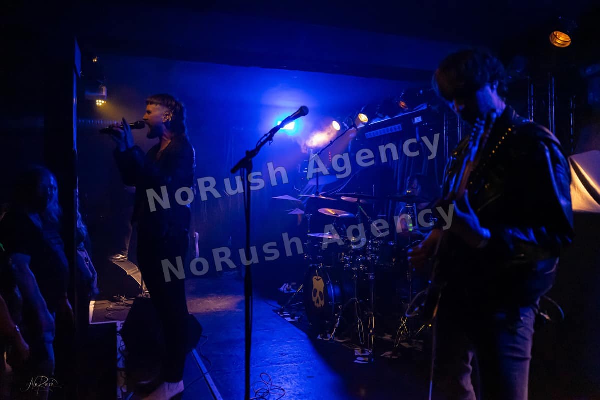 Formosa live in Dresden, Foto 15 von Stephan Sieger