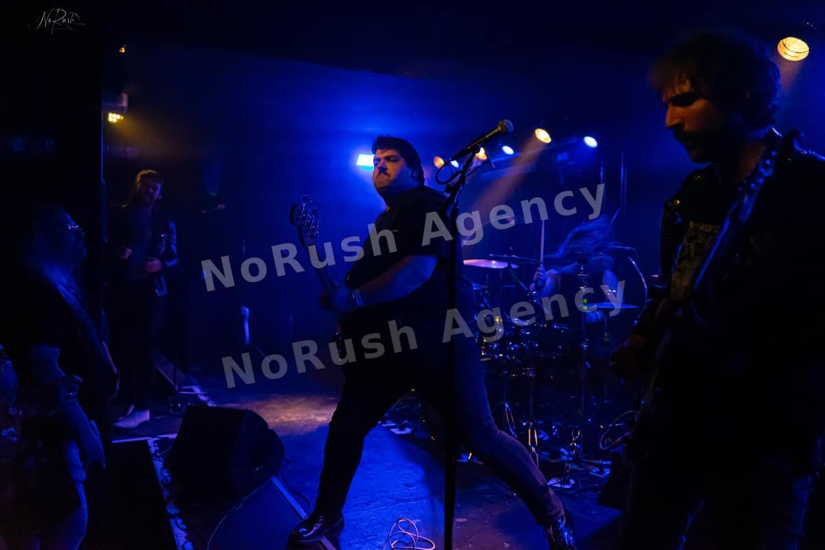 Formosa live in Dresden, Foto 17 von Stephan Sieger
