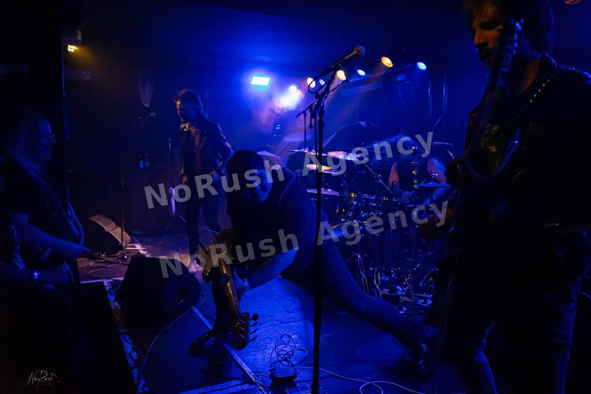 Formosa live in Dresden, Foto 18 von Stephan Sieger