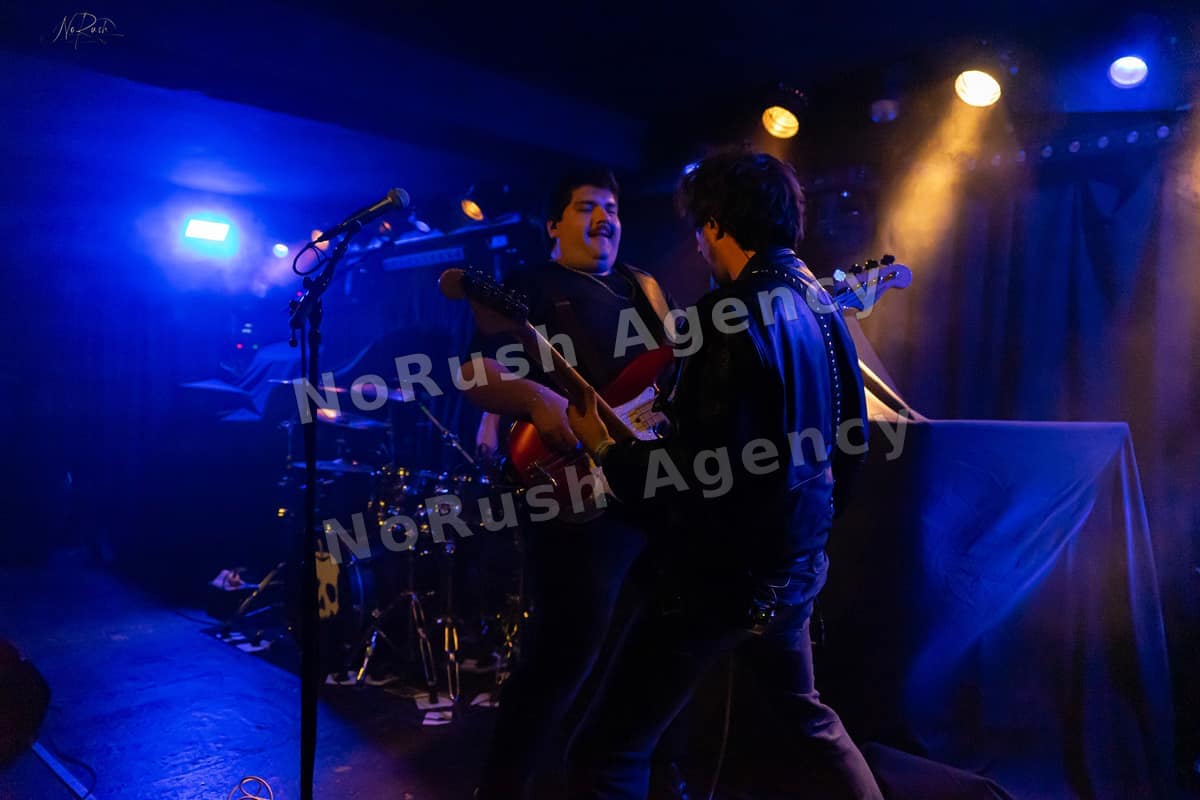 Formosa live in Dresden, Foto 19 von Stephan Sieger