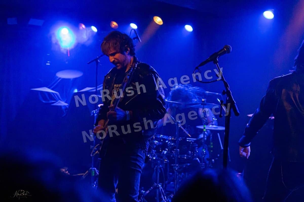 Formosa live in Dresden, Foto 21 von Stephan Sieger
