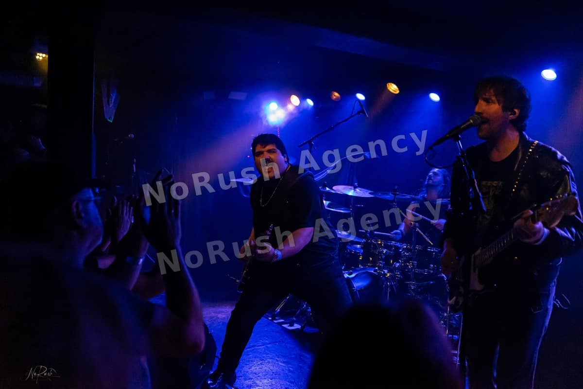 Formosa live in Dresden, Foto 23 von Stephan Sieger