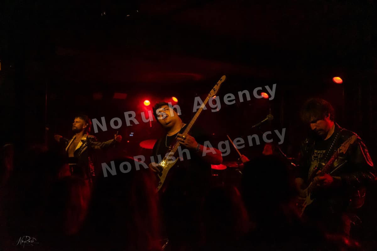 Formosa live in Dresden, Foto 26 von Stephan Sieger