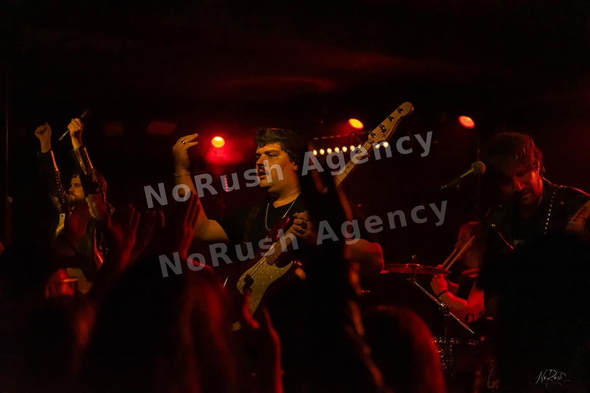 Formosa live in Dresden, Foto 27 von Stephan Sieger