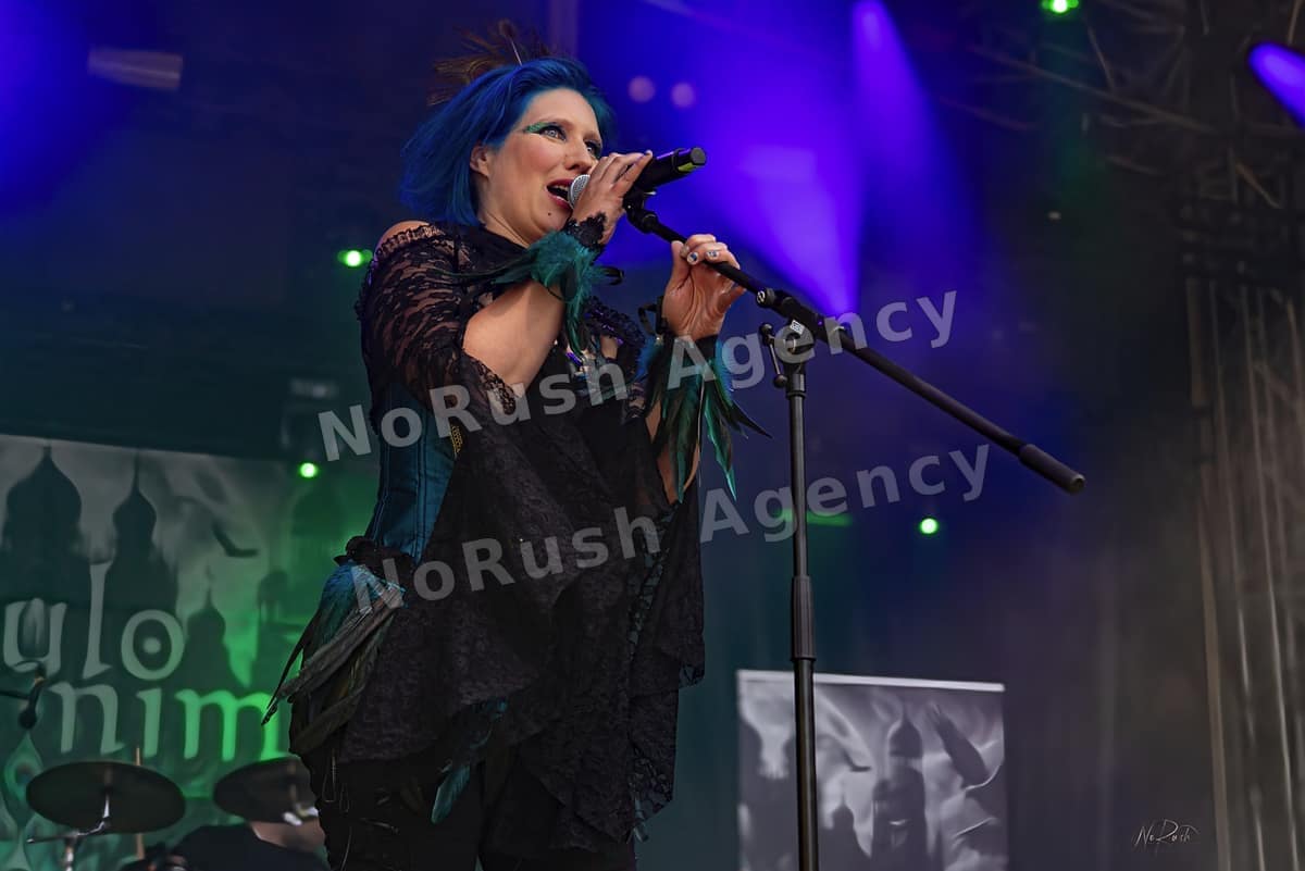 Cumulo Nimbus live in Merseburg, Foto 4 von Stephan Sieger