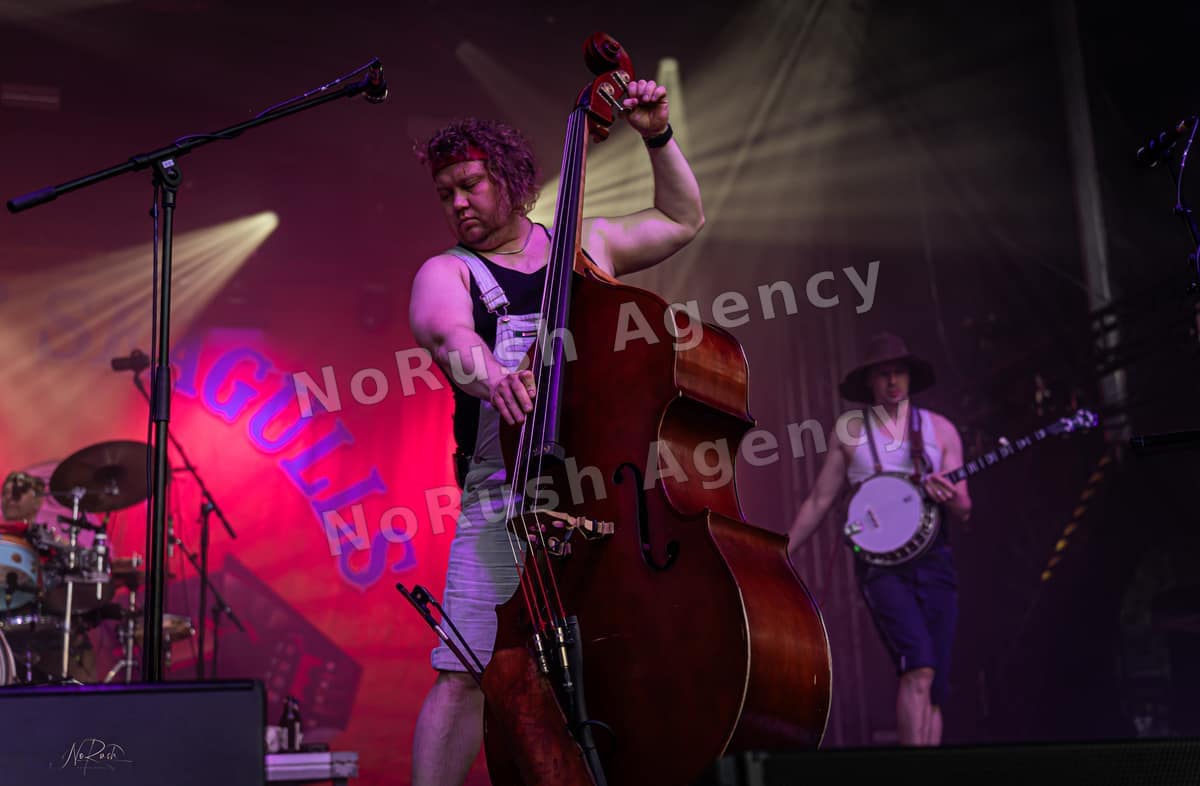 Steve´N´Seagulls live in Merseburg, Foto 2 von Stephan Sieger