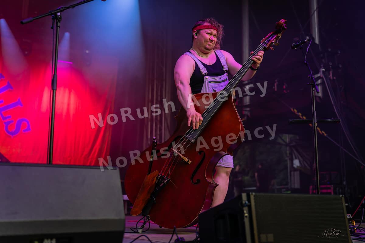 Steve´N´Seagulls live in Merseburg, Foto 6 von Stephan Sieger