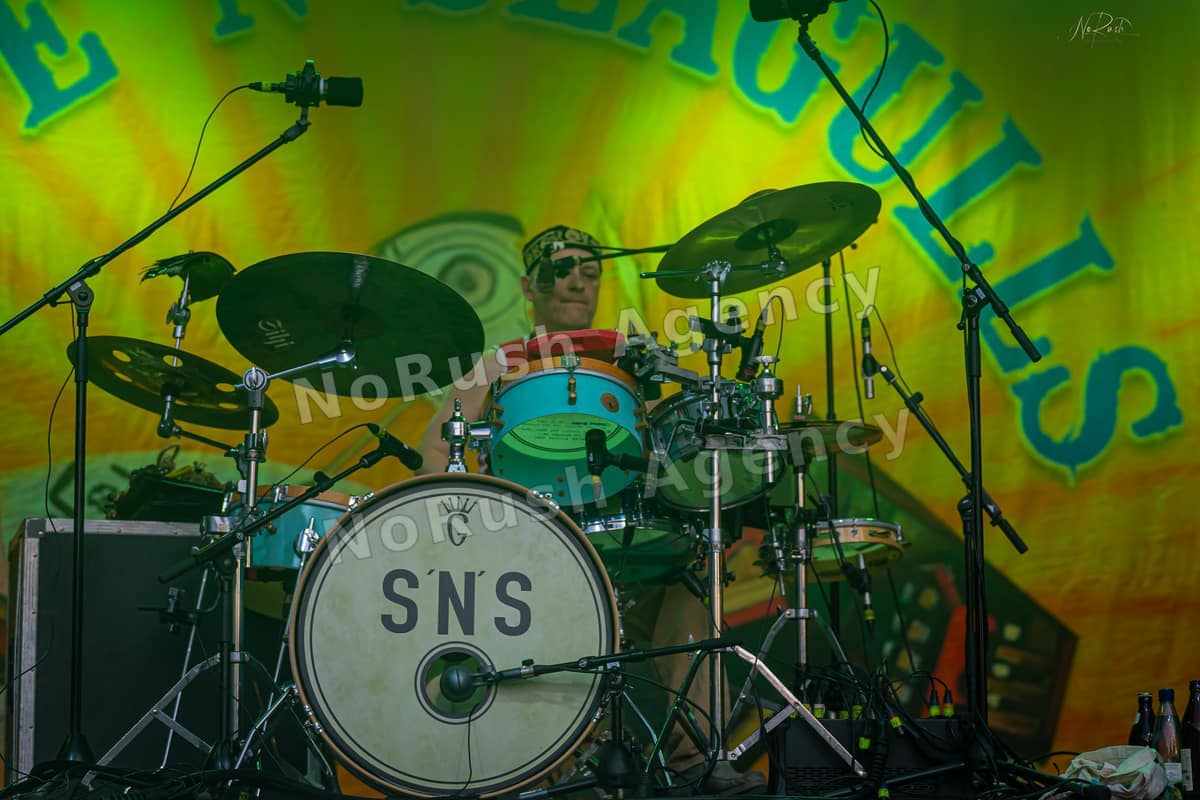 Steve´N´Seagulls live in Merseburg, Foto 17 von Stephan Sieger