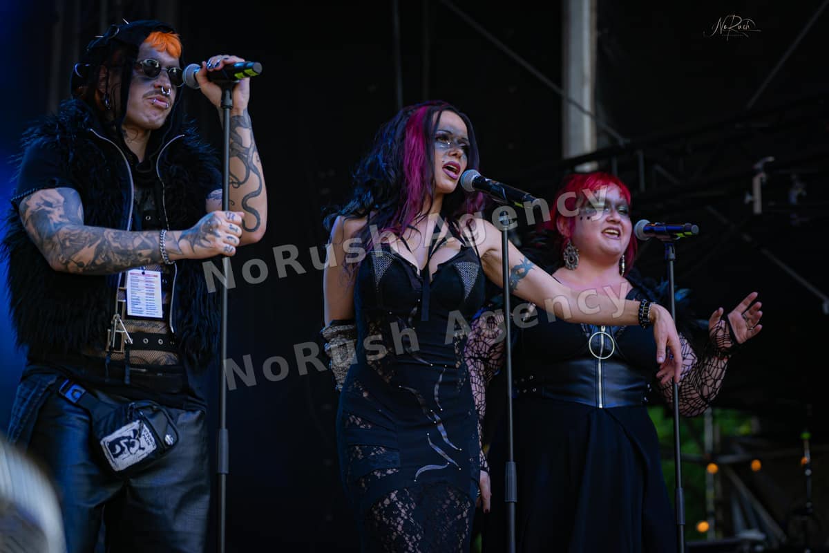 Umbra et Imago live in Merseburg, Foto 10 von Stephan Sieger