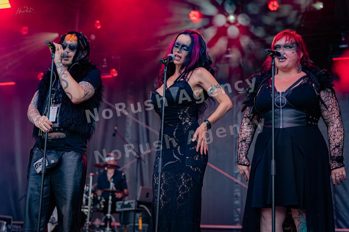 Umbra et Imago live in Merseburg, Foto 15 von Stephan Sieger