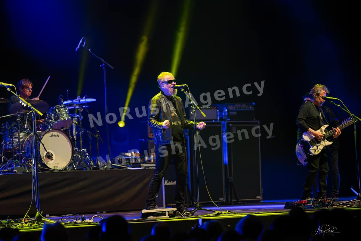 Blue Öyster Cult live in Berlin, Foto 3 von Stephan Sieger