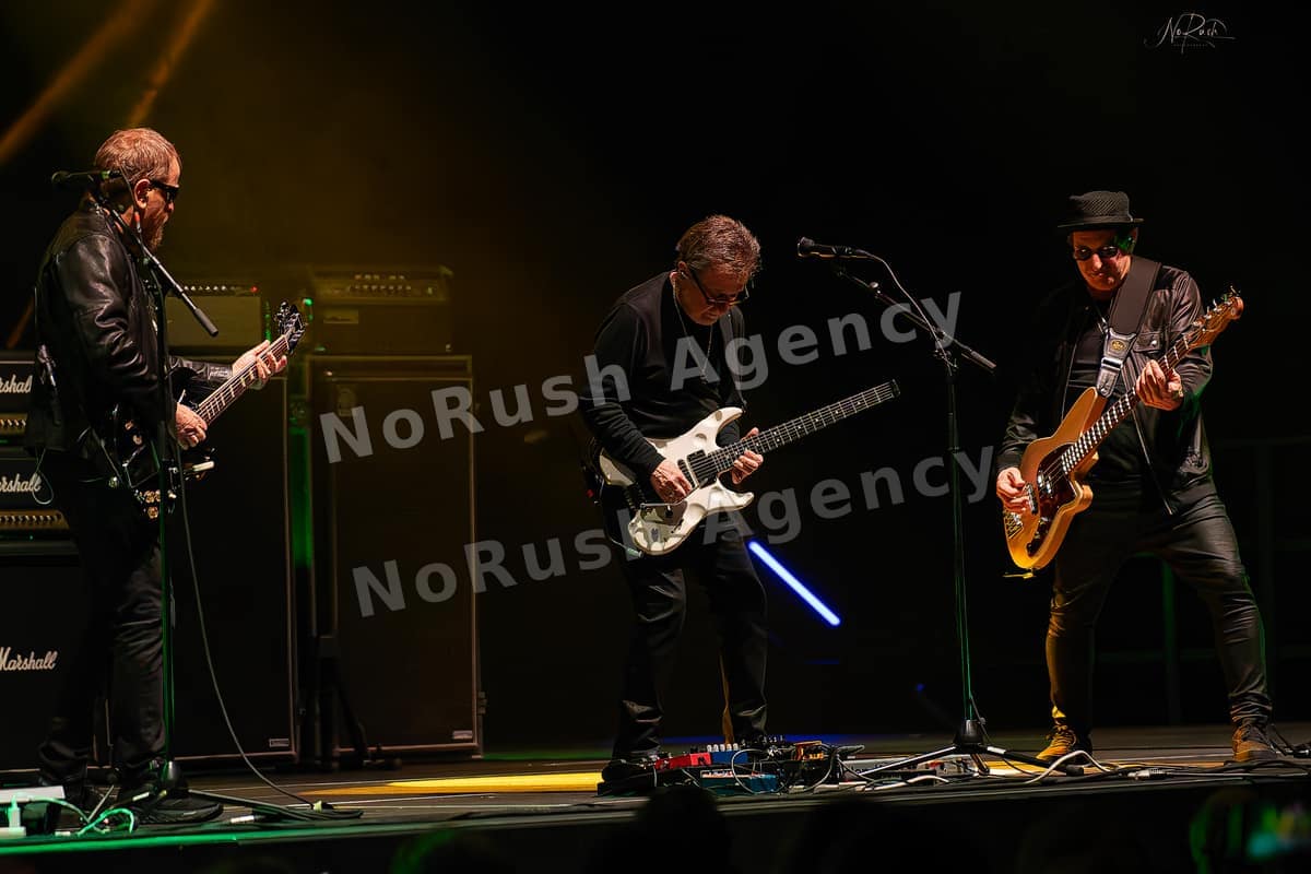 Blue Öyster Cult live in Berlin, Foto 25 von Stephan Sieger
