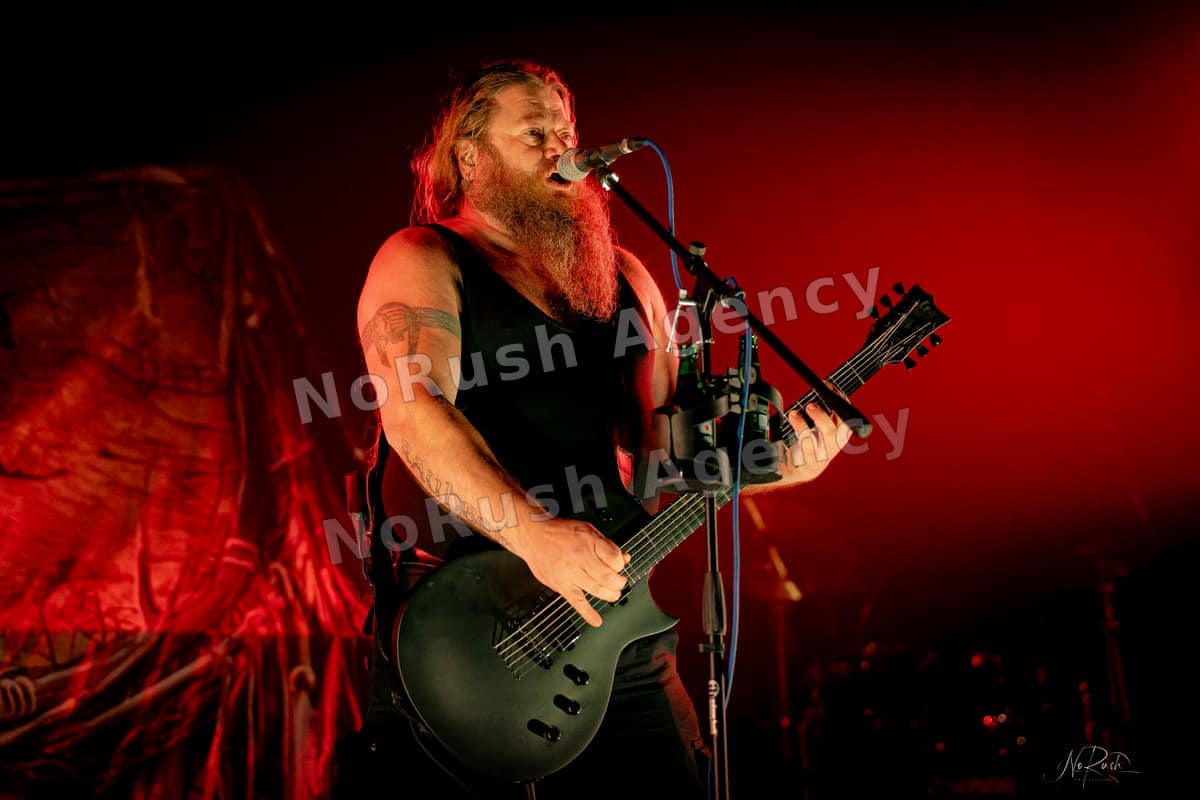 Rauhbein live in Dresden, Foto 5 von Stephan Sieger