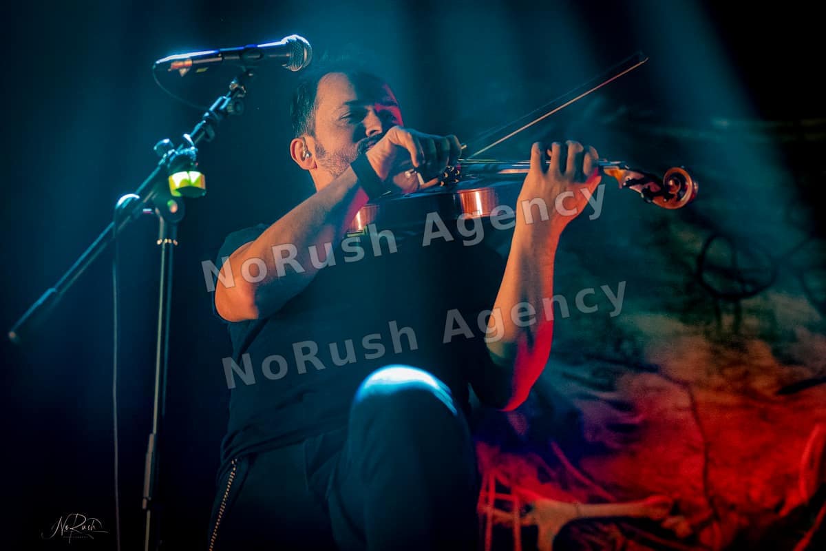 Rauhbein live in Dresden, Foto 6 von Stephan Sieger