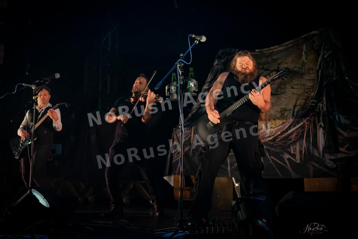 Rauhbein live in Dresden, Foto 12 von Stephan Sieger