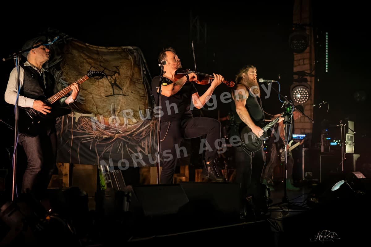 Rauhbein live in Dresden, Foto 13 von Stephan Sieger