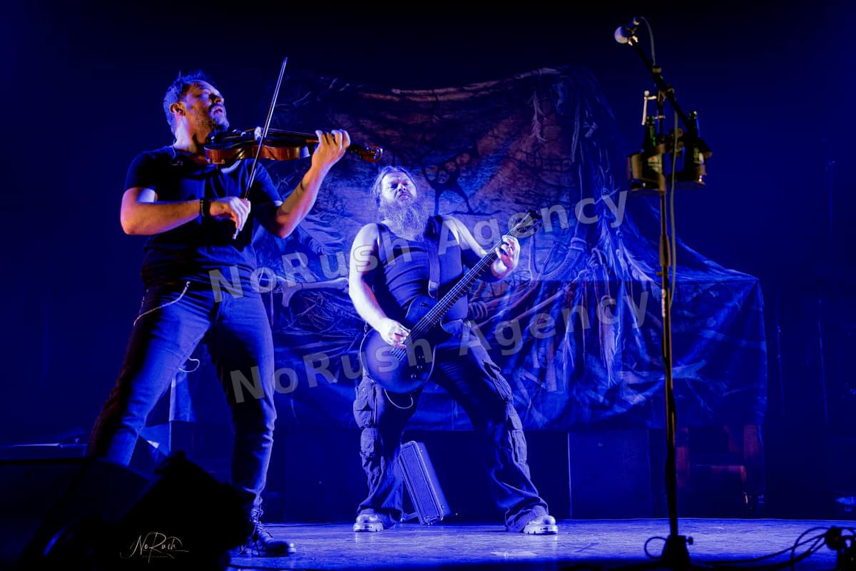 Rauhbein live in Dresden, Foto 39 von Stephan Sieger