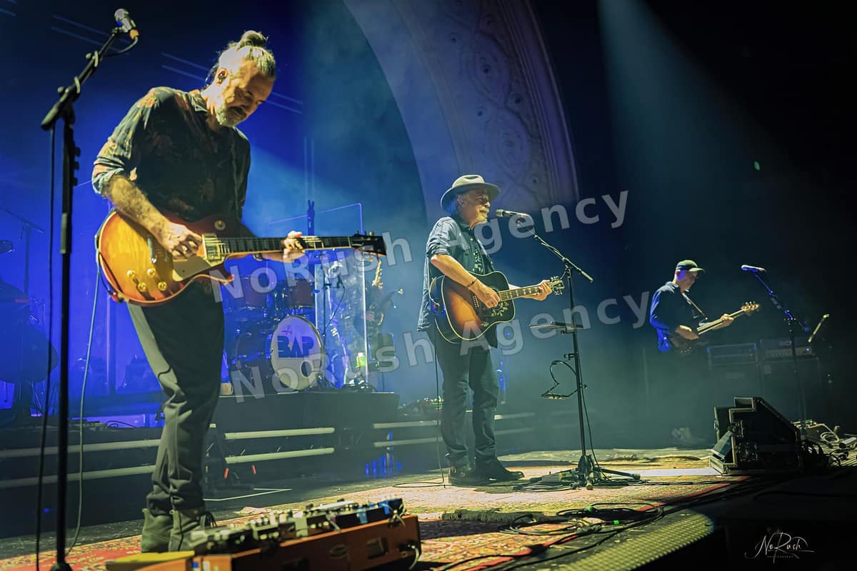 BAP live in Leipzig, Foto 14 von Stephan Sieger