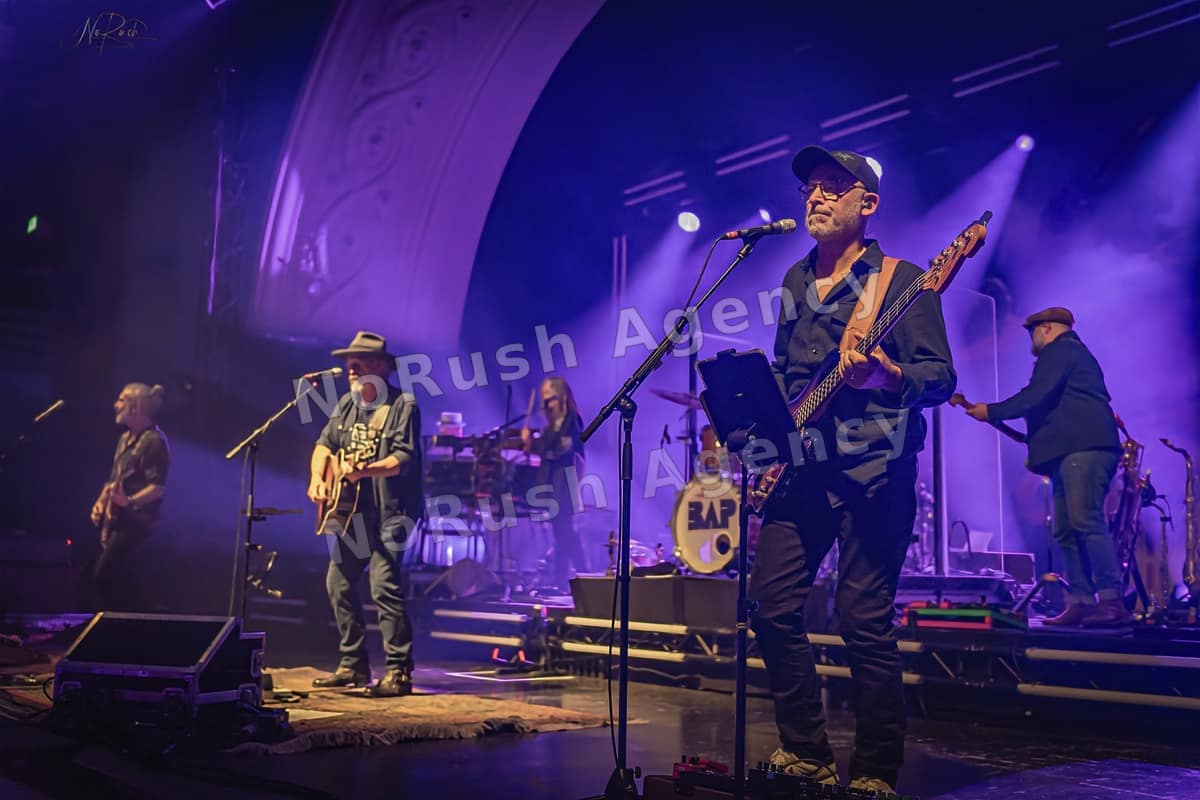 BAP live in Leipzig, Foto 40 von Stephan Sieger